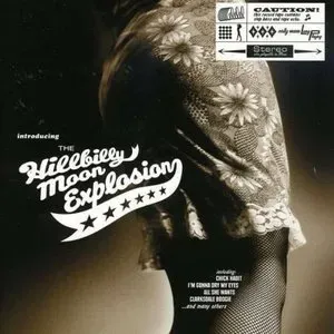 Photo représentant The Hillbilly Moon Explosion