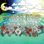 The Sheepdogs