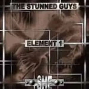 Photo représentant The Stunned Guys