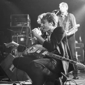 Photo représentant The Triffids