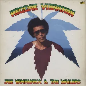 Photo représentant The Wailers Band