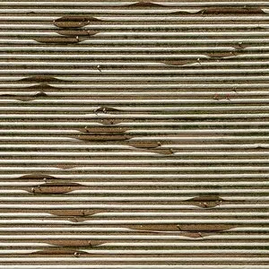 Photo représentant Tim Six