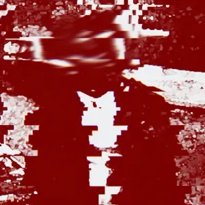 Photo représentant Tremble