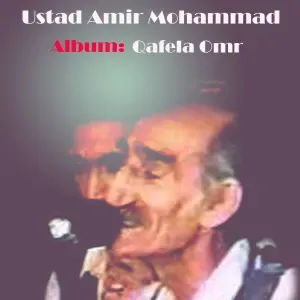 Photo représentant Ustad Amir Mohammad