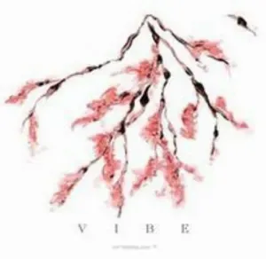 Photo représentant Vibe
