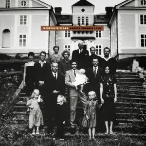 Photo représentant Weeping Willows