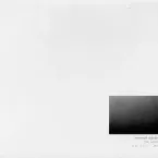 Yannick Dauby