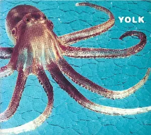Photo représentant Yolk