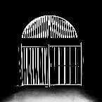 Pochette The Belly of the Jungle