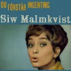 Pochette Du förstår ingenting