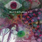 Pochette Shell of Me Thinking of You