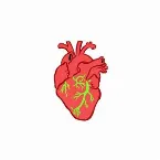 Pochette Coração Selvagem