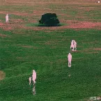 Pochette Sunny Shower