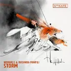 Pochette Storm
