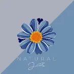 Pochette Natural