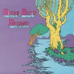 Pochette Another Side of Skinshape