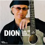 Pochette Son of Skip James