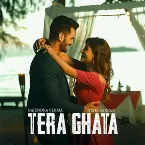 Pochette Tera Ghata