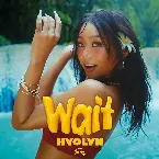 Pochette Wait