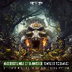 Pochette Temple Of Resonance (Official Masters Of Hardcore 2025 Anthem)