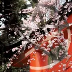 Pochette 桜花ノ理