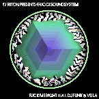 Pochette Fuck Me Right