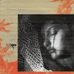 Pochette Filmworks X: In The Mirror of Maya Deren