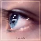 Pochette きれいな血