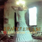 Pochette Distorted Ghost EP