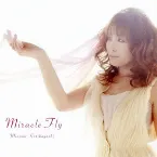 Pochette Miracle Fly