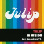 Pochette IN VISION-Best Songs from TV-