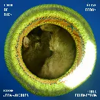 Pochette L'air de rien