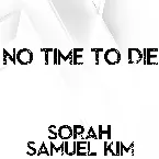 Pochette No Time to Die