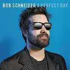 Pochette A Perfect Day