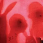 Pochette Blood Bunny / Black Rabbit