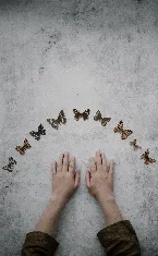 Pochette Now I Do Not Know Whether I Am a Man Dreaming I Was a Butterfly, or Whether I Am Now a Butterfly, Dreaming I Am a Man