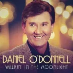 Pochette Walkin' in the Moonlight