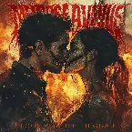 Pochette Fool and the Beggar