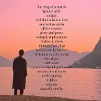 Pochette Magnificent Fist