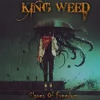 Pochette Slaves of Freedom