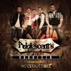 Pochette Indestructible