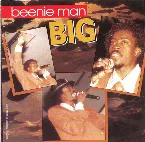 Pochette Big