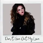Pochette Don't Give Out My Love