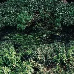 Pochette Secret Garden