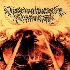Pochette Into The Flames