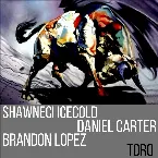 Pochette Toro