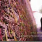 Pochette Sanctuary on Reclaimed Land