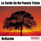 Pochette La Tarde Se Ha Puesto Triste