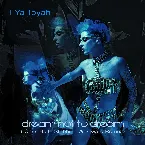 Pochette Dream not to Dream (Chris Hall - Stabbing Westward Remix)