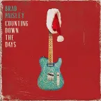 Pochette Counting Down the Days